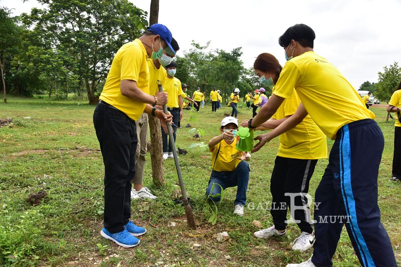 20210526-Tree planting dayt-144.JPG
